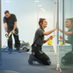 Profesional Cleaning Services